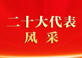 二十大代表风采