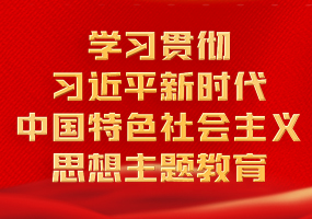 学习贯彻习近平新时代中国特色社会主义思想主题教育