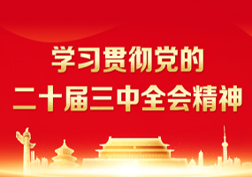 学习贯彻党的二十届三中全会精神