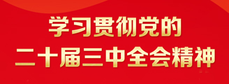 学习贯彻党的二十届三中全会精神
