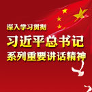 深入学习贯彻习近平总书记系列重要讲话精神