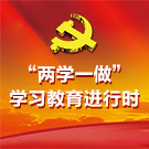 “两学一做”学习教育进行时