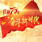 壮丽70年·奋斗新时代