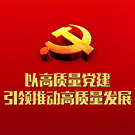 以高质量党建 引领推动高质量发展