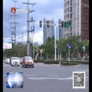 专家学者探讨太仓中德合作典范城市建设