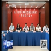 推动扫黑除恶专项斗争迈向纵深
