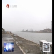 苏州市领导检查杨林塘治理工作