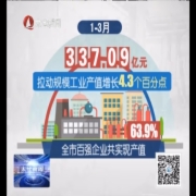 一季度规模工业产值超500亿