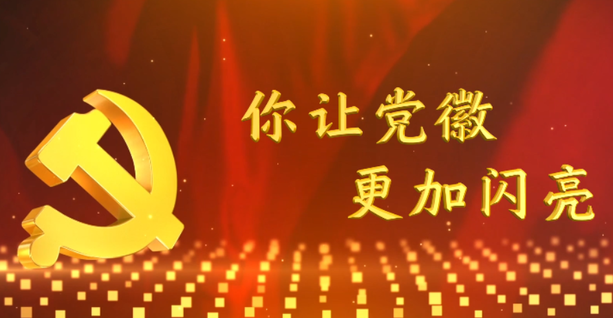 你让党徽更加闪亮