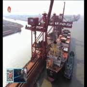 武港码头铁矿石吞吐量累计突破5亿吨