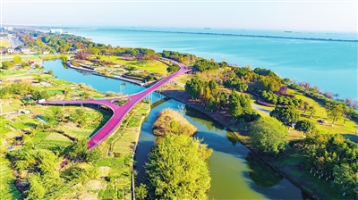 江滩湿地色彩斑斓