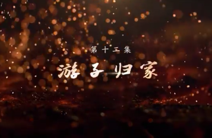 《敢教日月换新天》第十二集：游子归家
