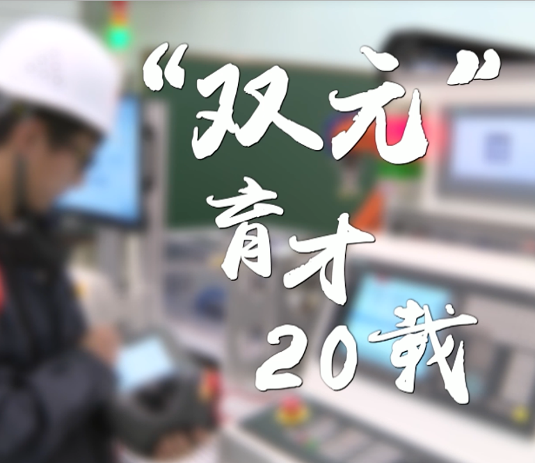 “双元”育才20载