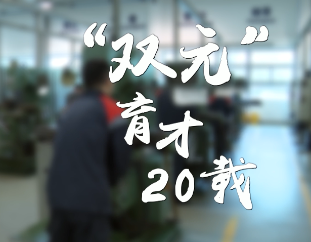  “双元”育才20载③｜编制“蓝金领”职业规划 打通“进阶”培育模式