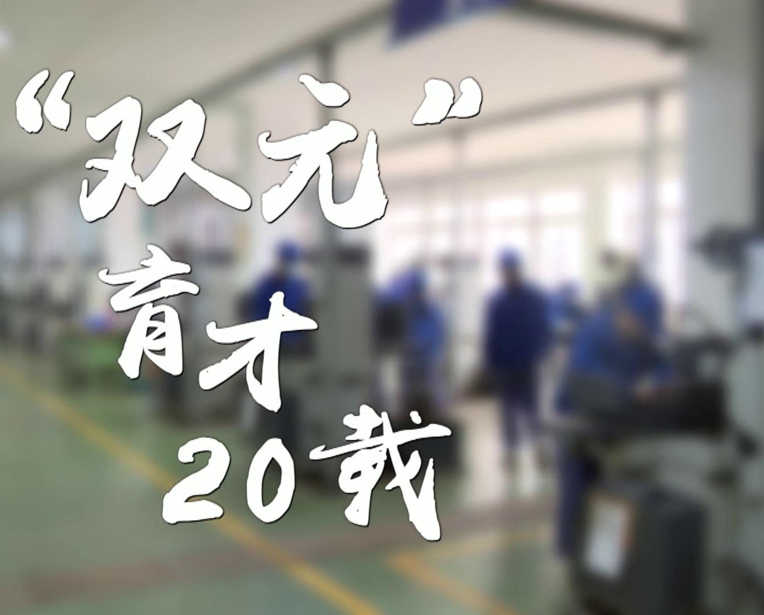 “双元”育才20载④｜人才供需精准匹配 招商引资强力引擎