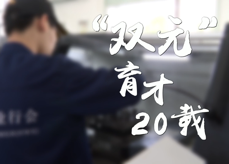 “双元”育才20载⑤｜在借鉴中创新在实践中深化的“太仓样板”
