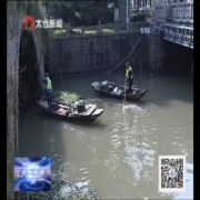 周乃翔来太调研七浦塘河长制工作落实情况
