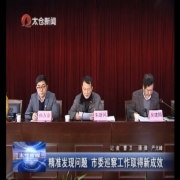 精准发现问题 市委巡察工作取得新成效