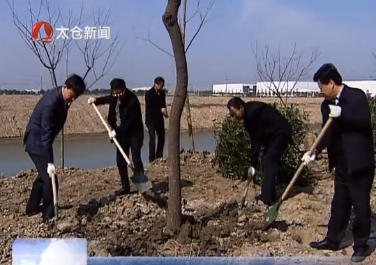 春光里义务植树 为太仓增绿添景