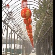逾18万旅客在太旅游过年