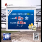 开放型经济能级提升 规模质量稳增