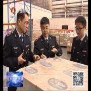 太仓港成江苏最大消费品进口口岸