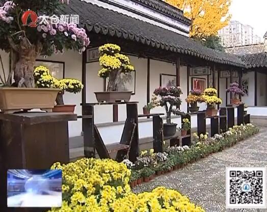 李建青：菊展背后的艺菊艺人