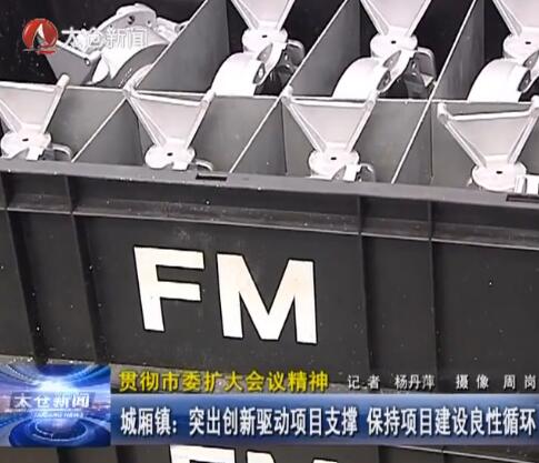 城厢镇：突出创新驱动项目支撑 保持项...
