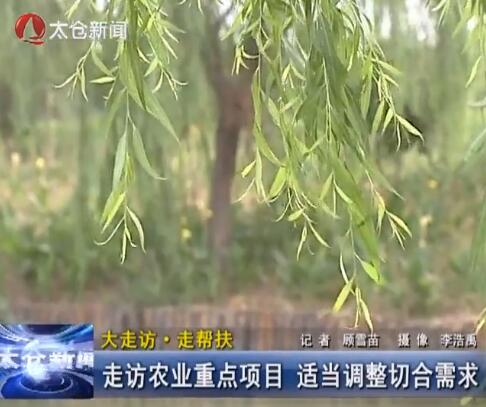 走访农业重点项目 适当调整切合需求