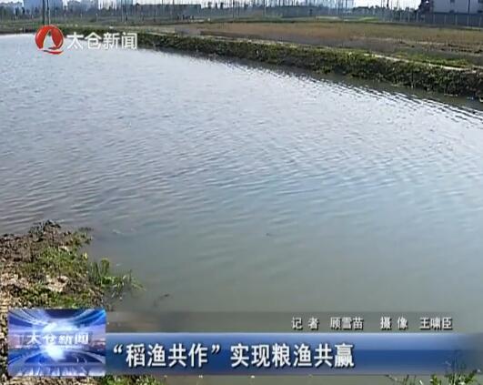 “稻渔共作”实现粮渔共赢