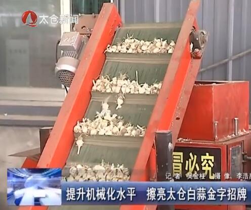 提升机械化水平 擦亮太仓白蒜金字招牌