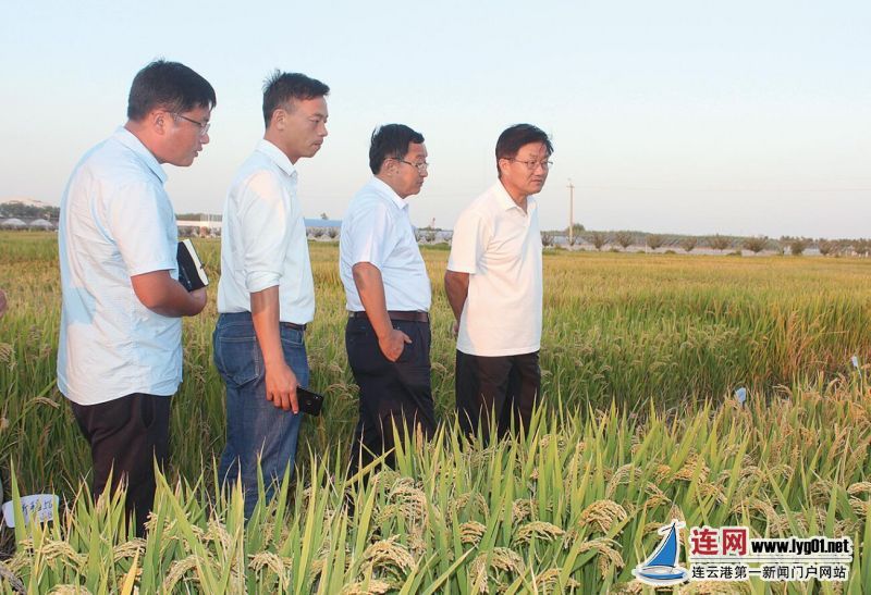 QQ截图20210623101759