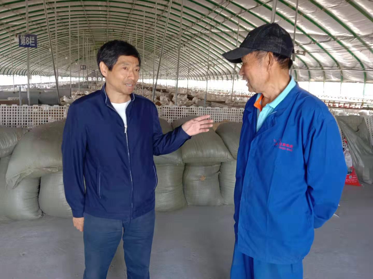 亚夫科技服务鹿楼工作站站长赵伟（左）在与肉鸭养殖户交流。