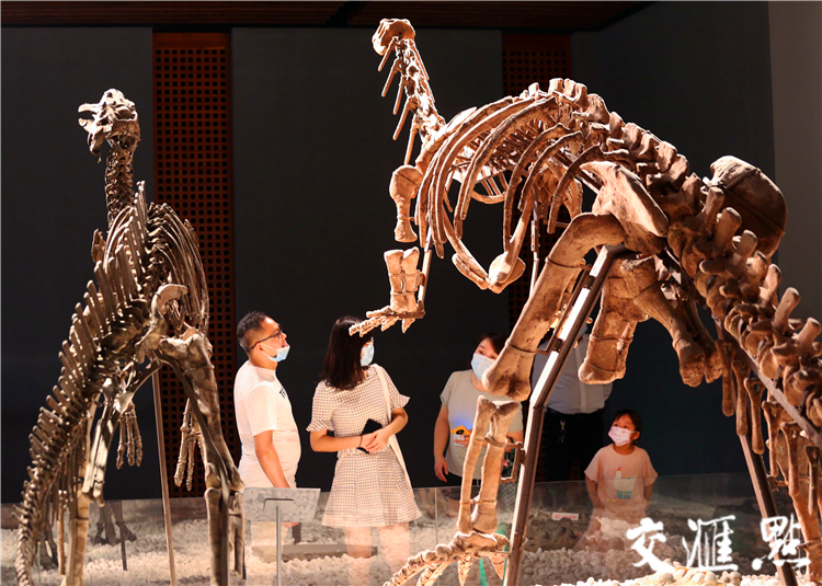 9月11日，“双减”政策落地后的首个周末，一些小学生在家长的陪伴下，参观南京博物院。 宋宁 摄