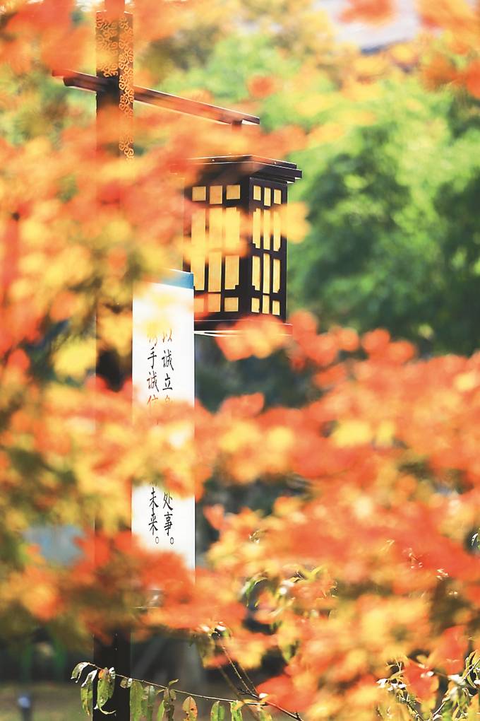 10月9日，南京市第十二届（森林）旅游登山节暨第二十一届“秋栖霞”红枫艺术节在栖霞山拉开帷幕。 蔡晖 摄