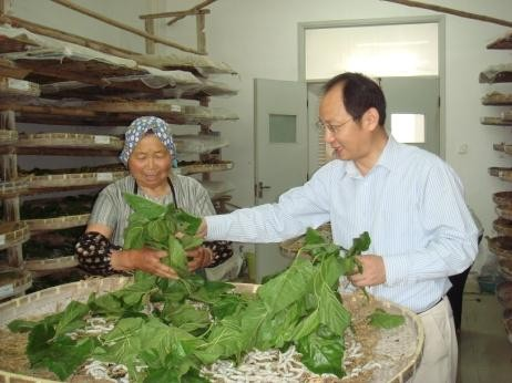 丝绸实验室助力脱贫攻坚