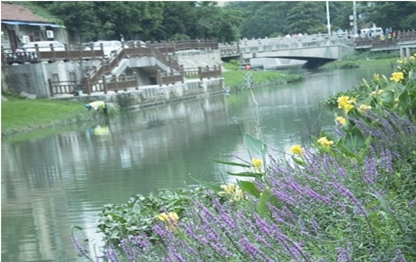 南京金川河整治前（上）后（下）