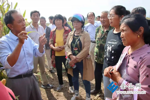 图片 3