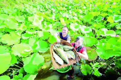 贵州：奋斗铸就“黄金十年”