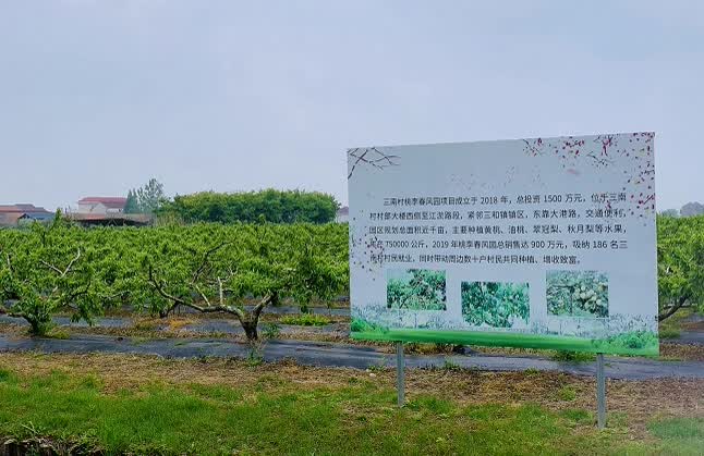 图片8.png