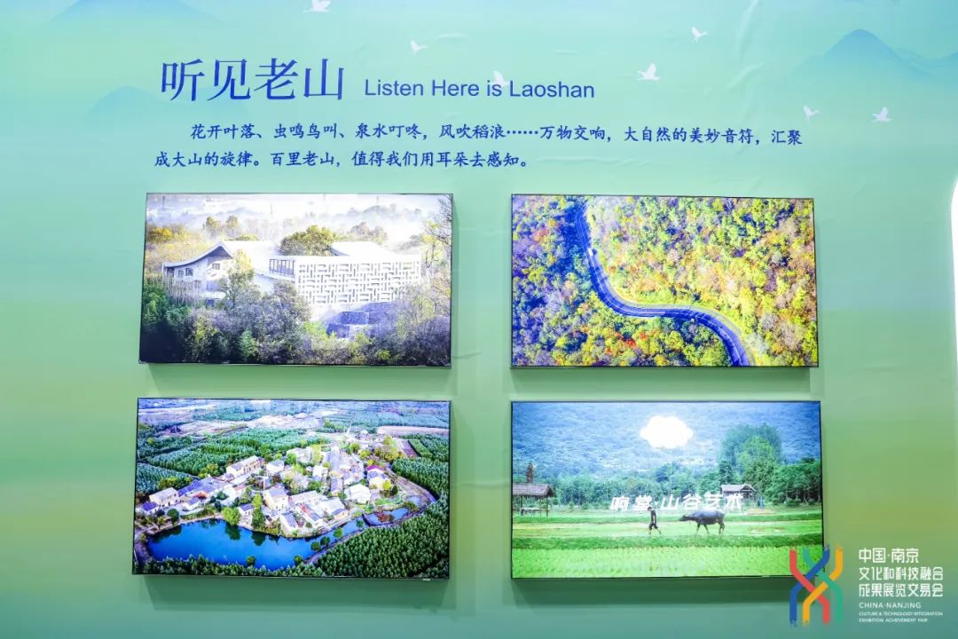 主办方供图