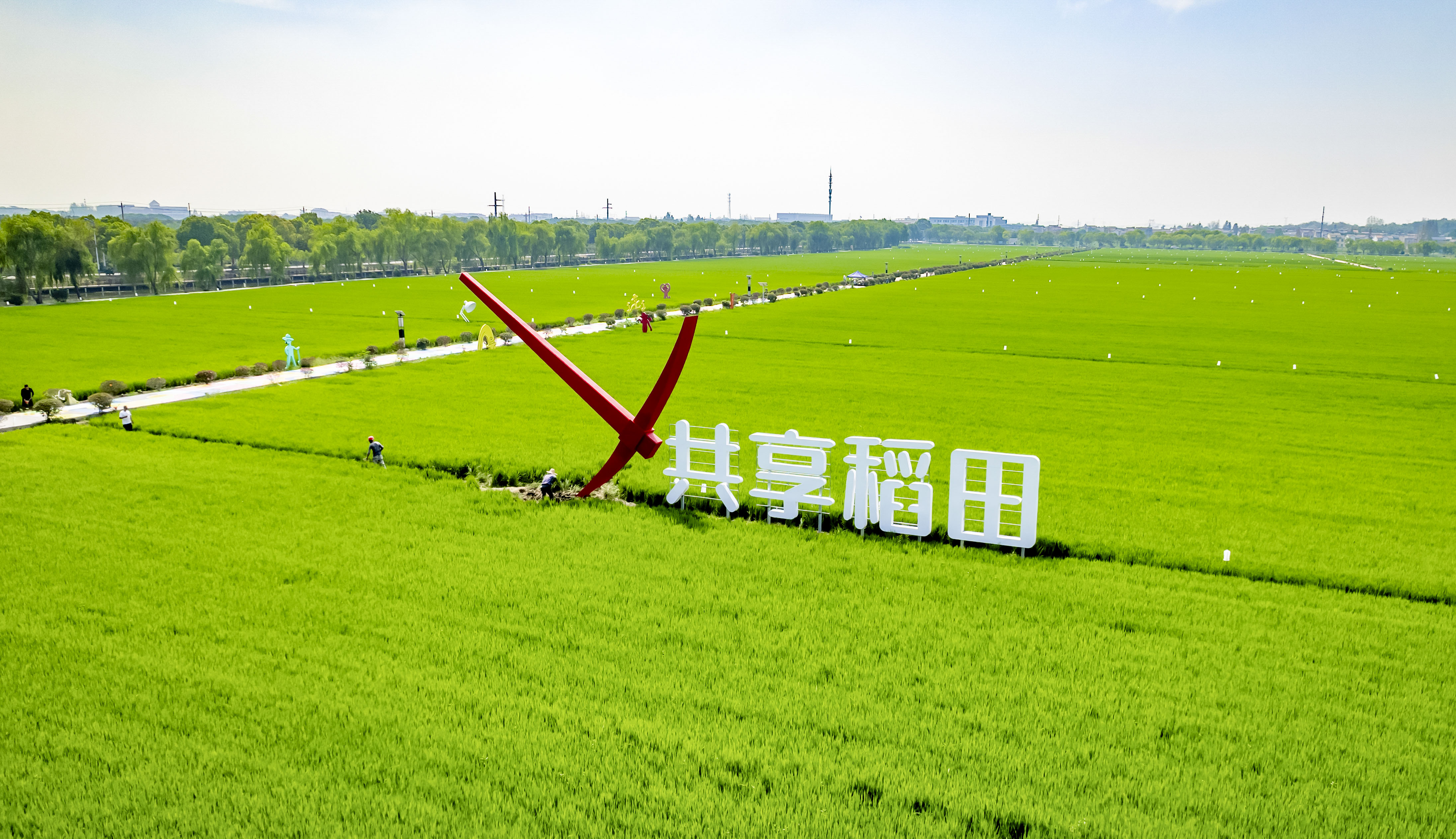 通讯员 丁倩 南京日报/紫金山新闻记者 冯芃 摄