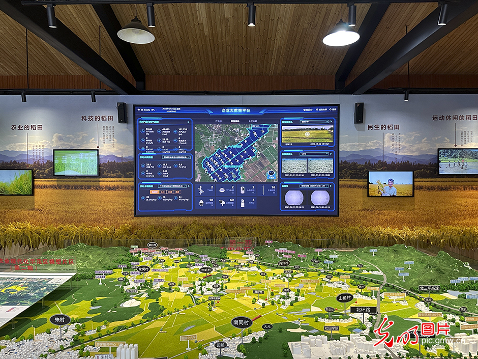 【高质量发展看中国】5G智慧农业 种出高质量好味“稻”