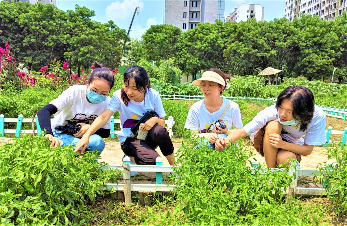 来源：视觉江苏网