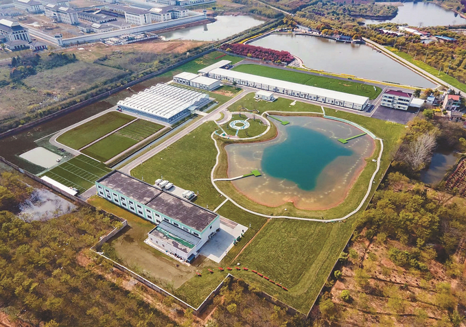 空中俯瞰位于溧阳市竹箦镇姜下村的姜下现代农业产业园。 通讯员 孙晶 记者 陈俨 摄