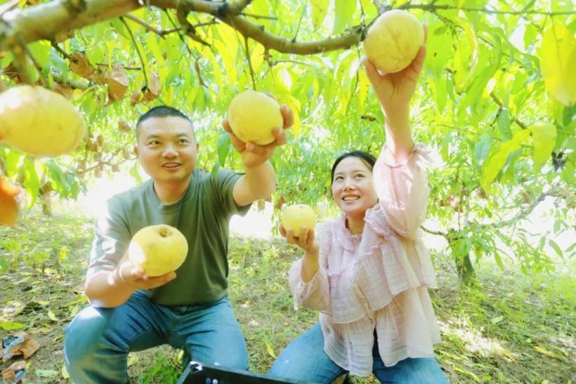 图片来源：淮安市委网信办