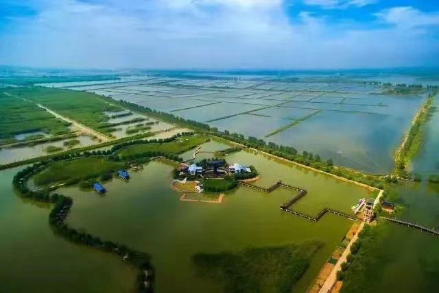 图源：神奇高邮湖公众号