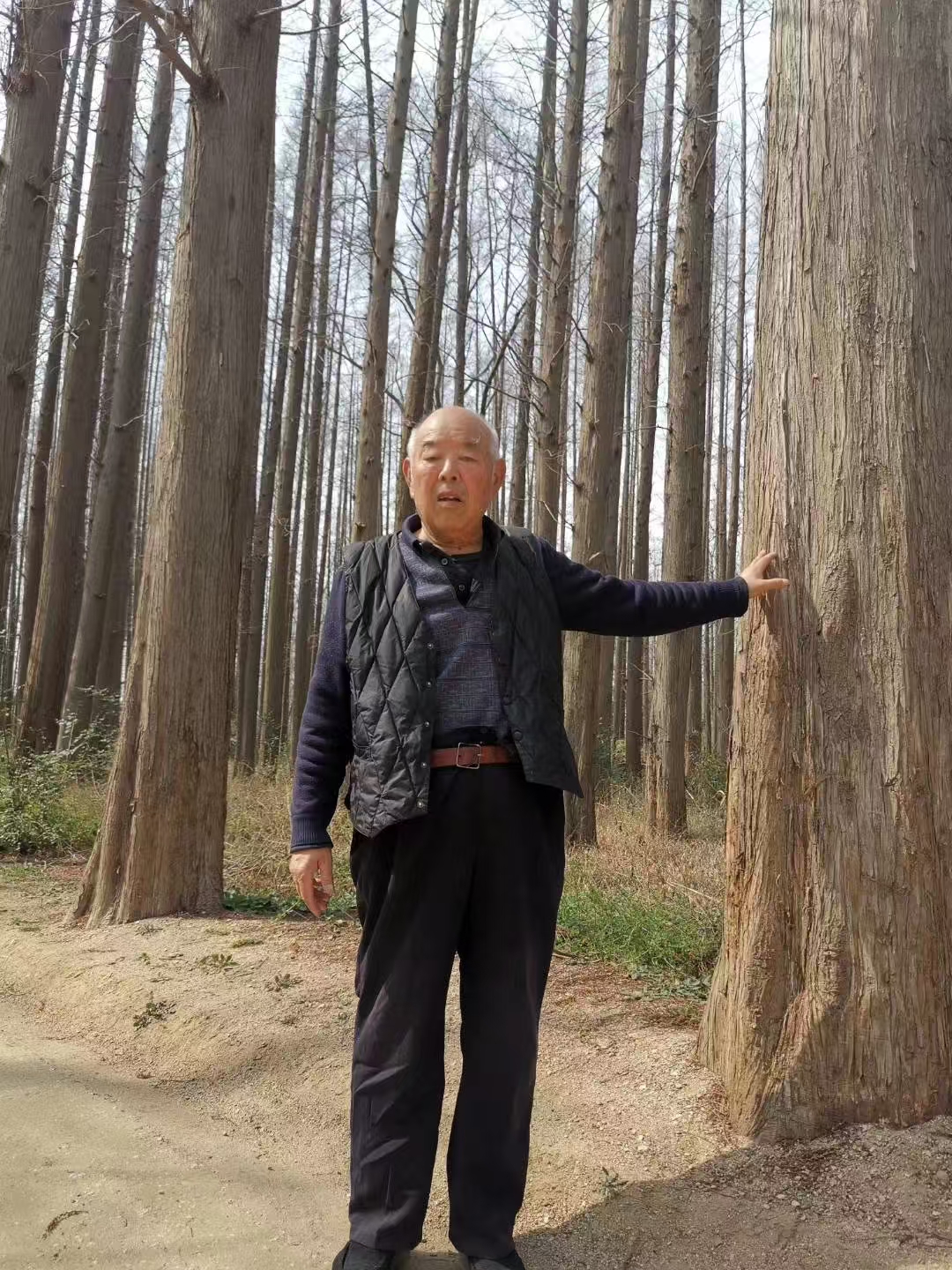 丁召森父亲和他种下的水杉树