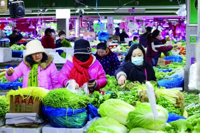   昨天，市民在建邺区南湖菜市场选购蔬菜。蛇年首场寒潮来袭，相关部门积极应对多措并举，及时调配各类蔬菜投放市场，在各大菜场内，蔬菜供应充足、价格平稳。 南京日报/紫金山新闻记者 段仁虎 摄