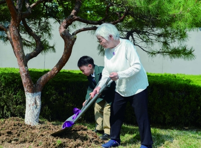 3月26日,日本紫金草合唱团到访侵华日军南京大屠杀遇难同胞纪念馆。在紫金草花园,合唱团荣誉团长大门高子与紫金草童声合唱团年纪最小的成员何泉杰一道,种下一棵和平音乐树。 南京日报/紫金山新闻记者 孙中元 摄